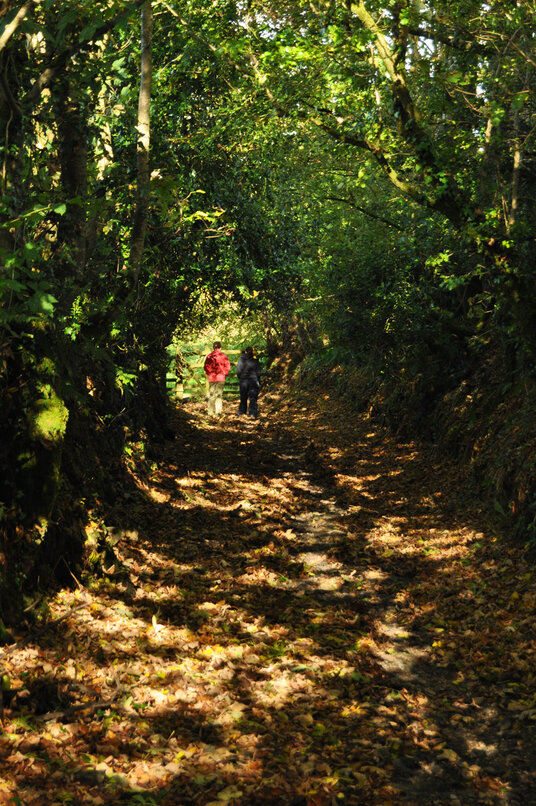 Path to the Holy Well