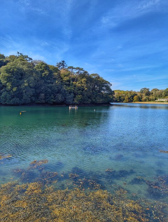 Percuil River at Place