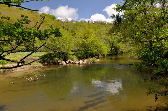 River Camel