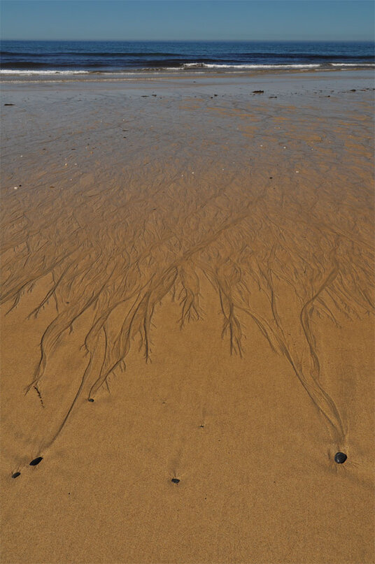 Patterns at Poldhu Cove