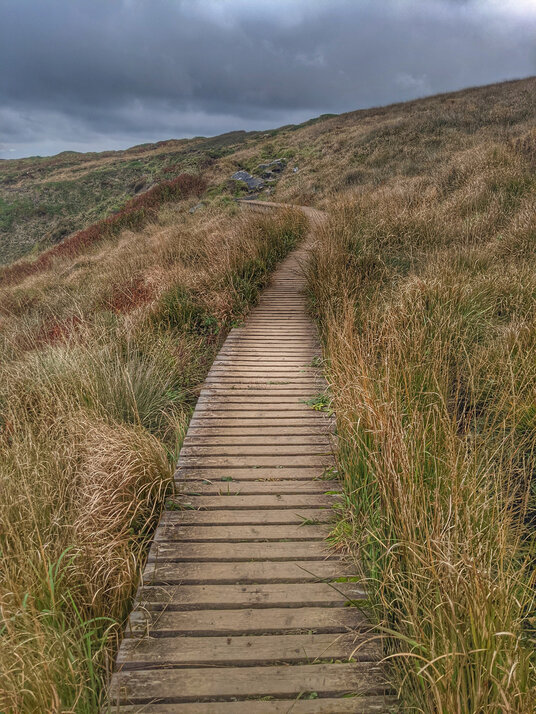 Wooden walkway at Polgassick