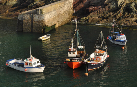Boats outside the harbour