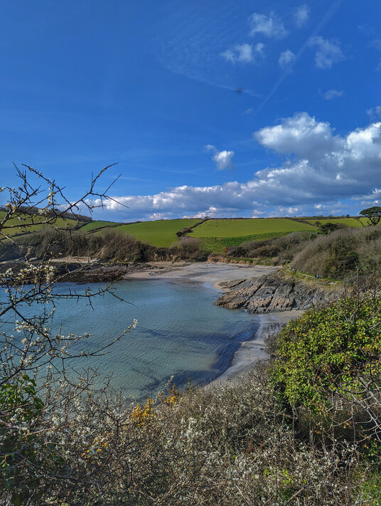 Coastline around Polridmouth