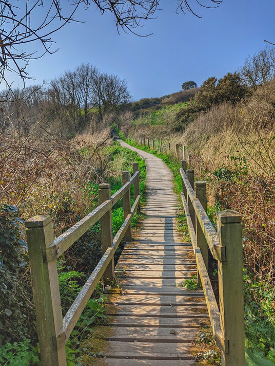 Coast path at Polridmouth