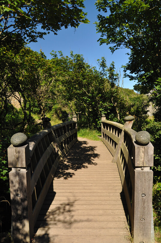 Bridge at Carleon Cove