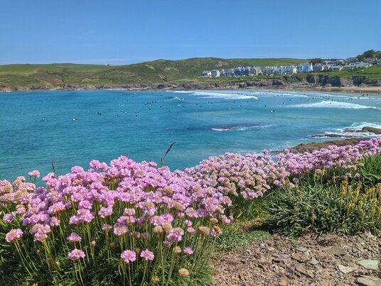 Thrift at Polzeath