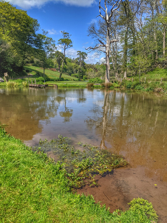 Pond at Kerslake Mill