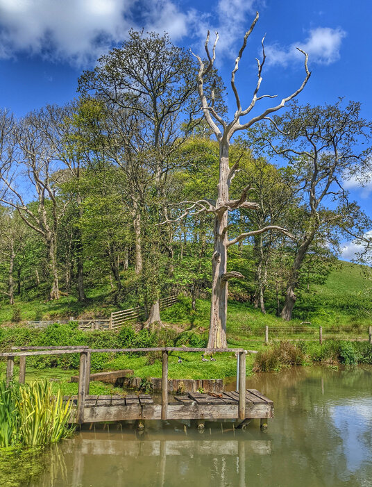 Pond at Kerslake Mill