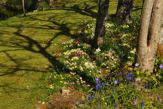 Garden in Ponsongath