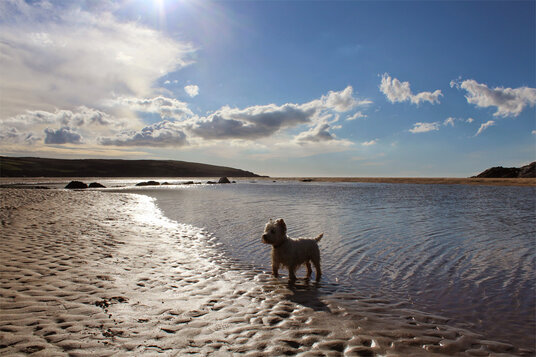Crantock Beach