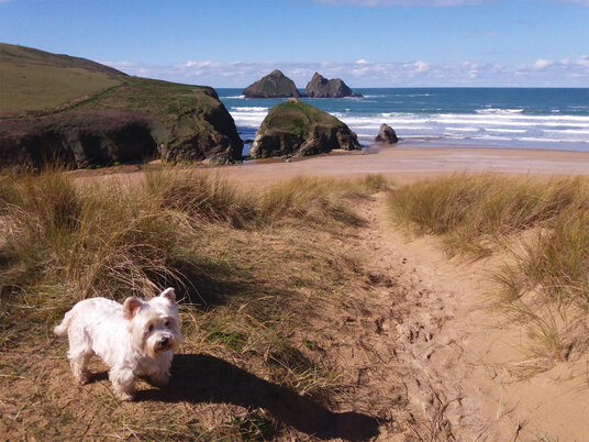 The Dunes at Holywell Bay