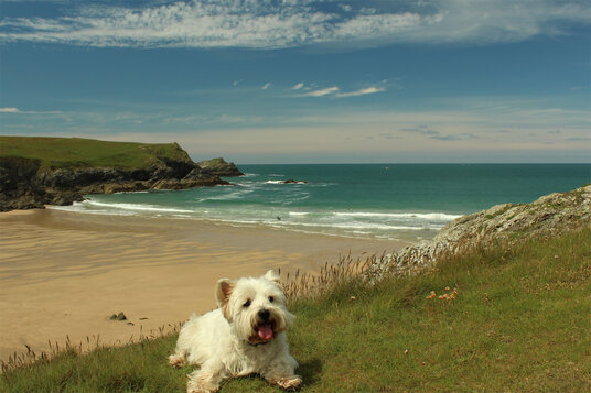 View over Porth Joke from West Pentire