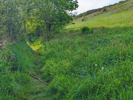 Footpath near Port Gaverne
