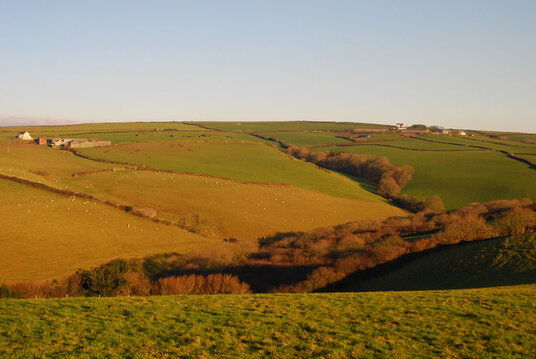 Valley above Port Gaverne
