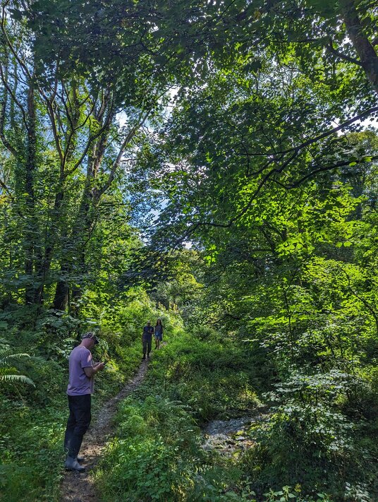 Valley path from Port Gaverne