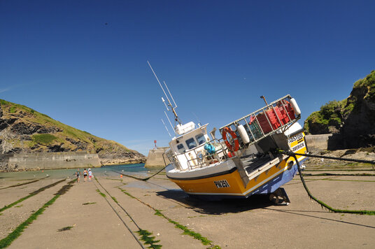 Port Isaac at Low Tide
