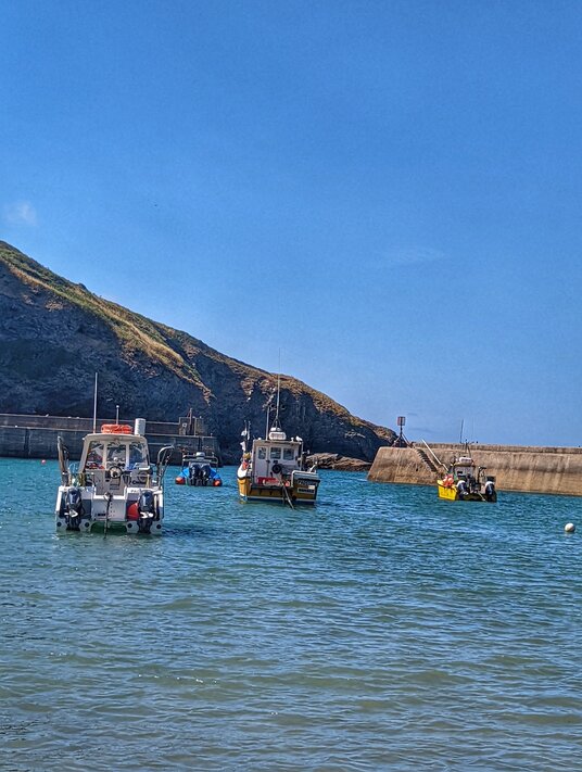 Boats at Port Isaac