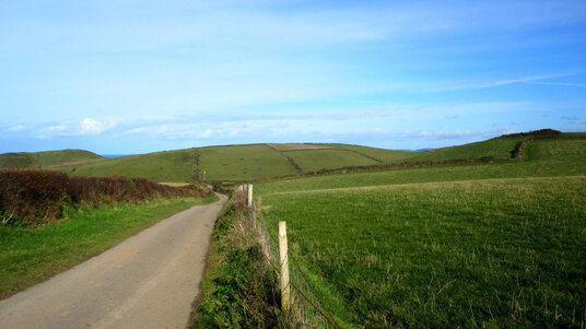 Lane returning to Port Quin