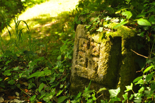 Celtic Stone at Porthcothan Mill