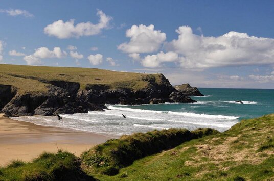 Polly Joke (Jackdaw Cove)