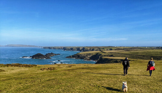 Coastline at Porth Mear
