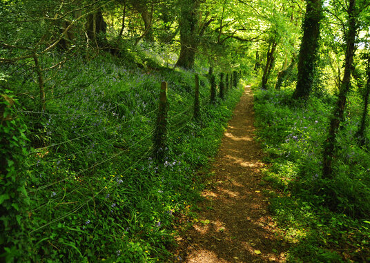 Nature reserve by Porth Reservoir