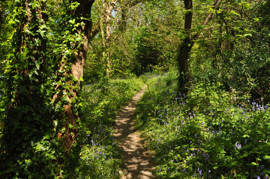 Nature trail at Porth Reservoir