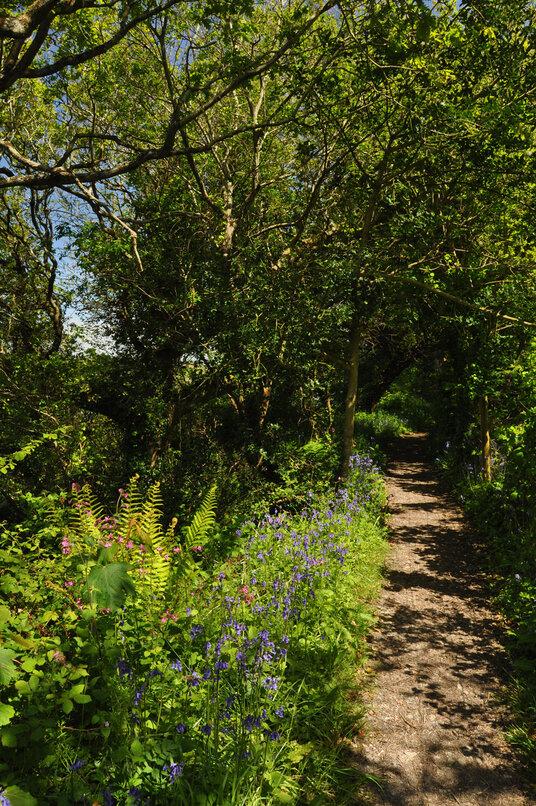 Path around Porth Reservoir