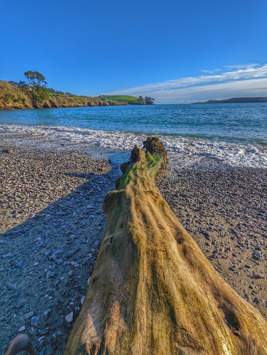 Porth Sawsen (Saxon)