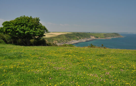 Coastline at Porthallow