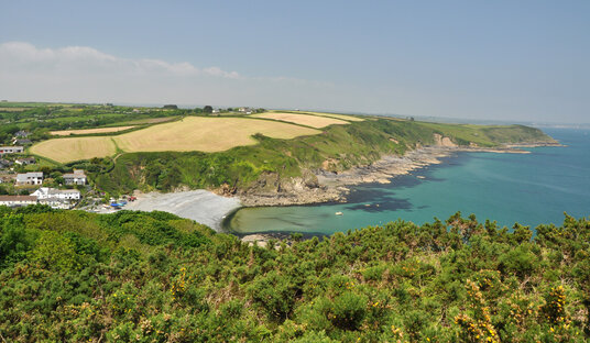 View over Porthallow