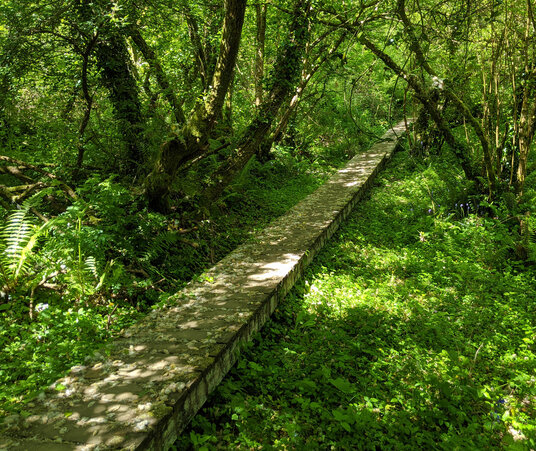 Footpath to Porthallow