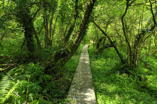 Footpath to Porthallow