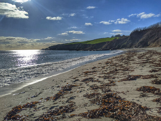 Seaweed on Porthbean Beach