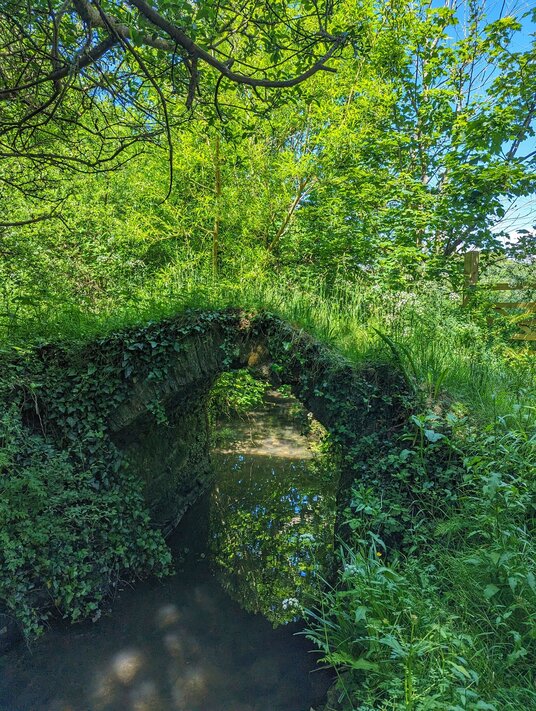 Packhorse bridge near Porthcothan