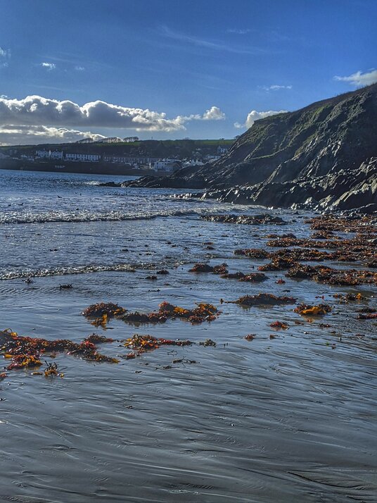 Porthcurnick Beach