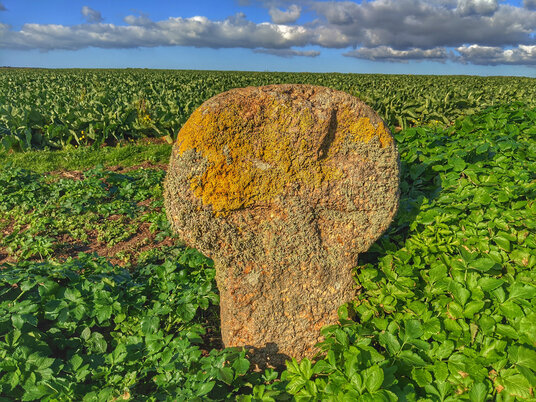 Remains of a Wayside Cross, near Porthcurno