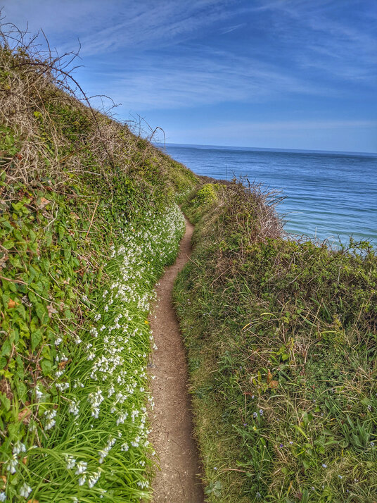 Coast path alongside Porthkidney Sands