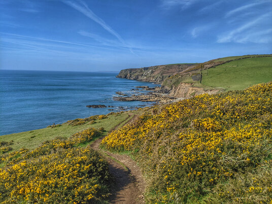 Coast path from Porthleven