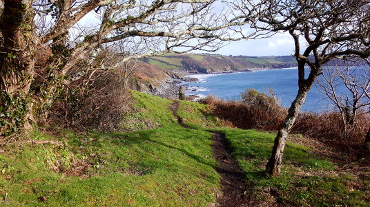 Coast path from Portholland