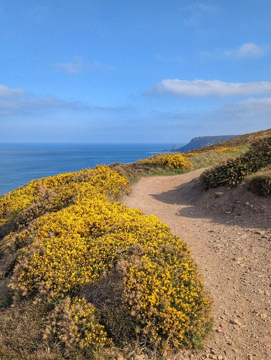 Coast path from Porthtowan