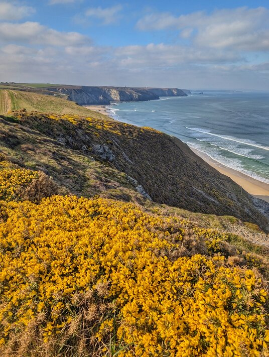 View along the coast at Porthtowan