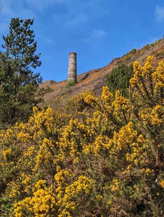 The valley at Porthtowan