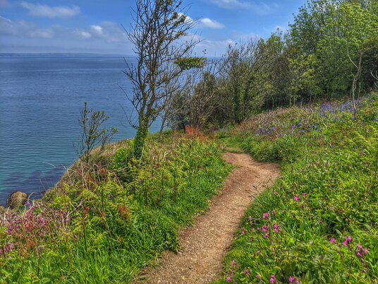 Coast path at Portmellon