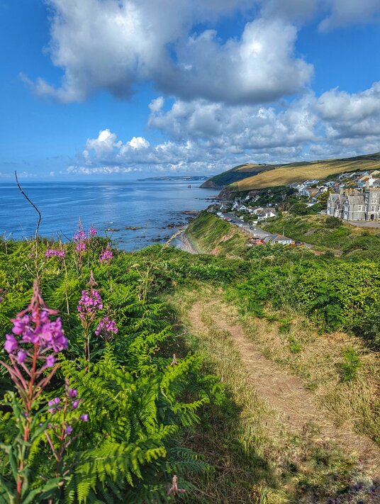 Coast path to Portwrinkle