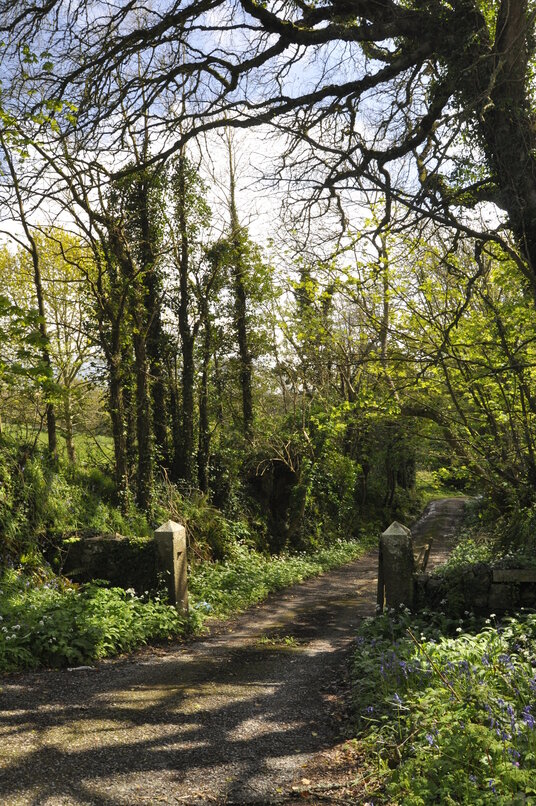 Track behind the church