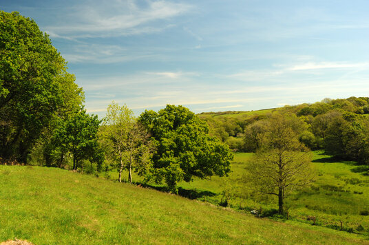 Fields near Penfound