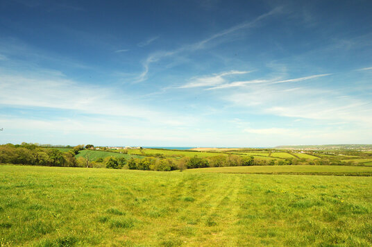 Fields near Penfound
