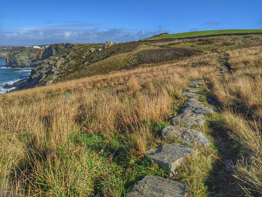 Stepping stones on the Predannack coast