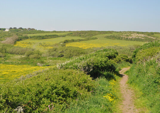Path to Predannack Woolas